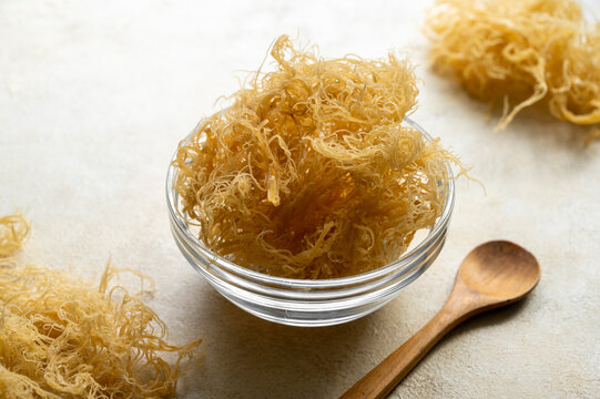 5 Gesundheitliche Vorteile von Sea Moss (Meeresmoos), laut Experten