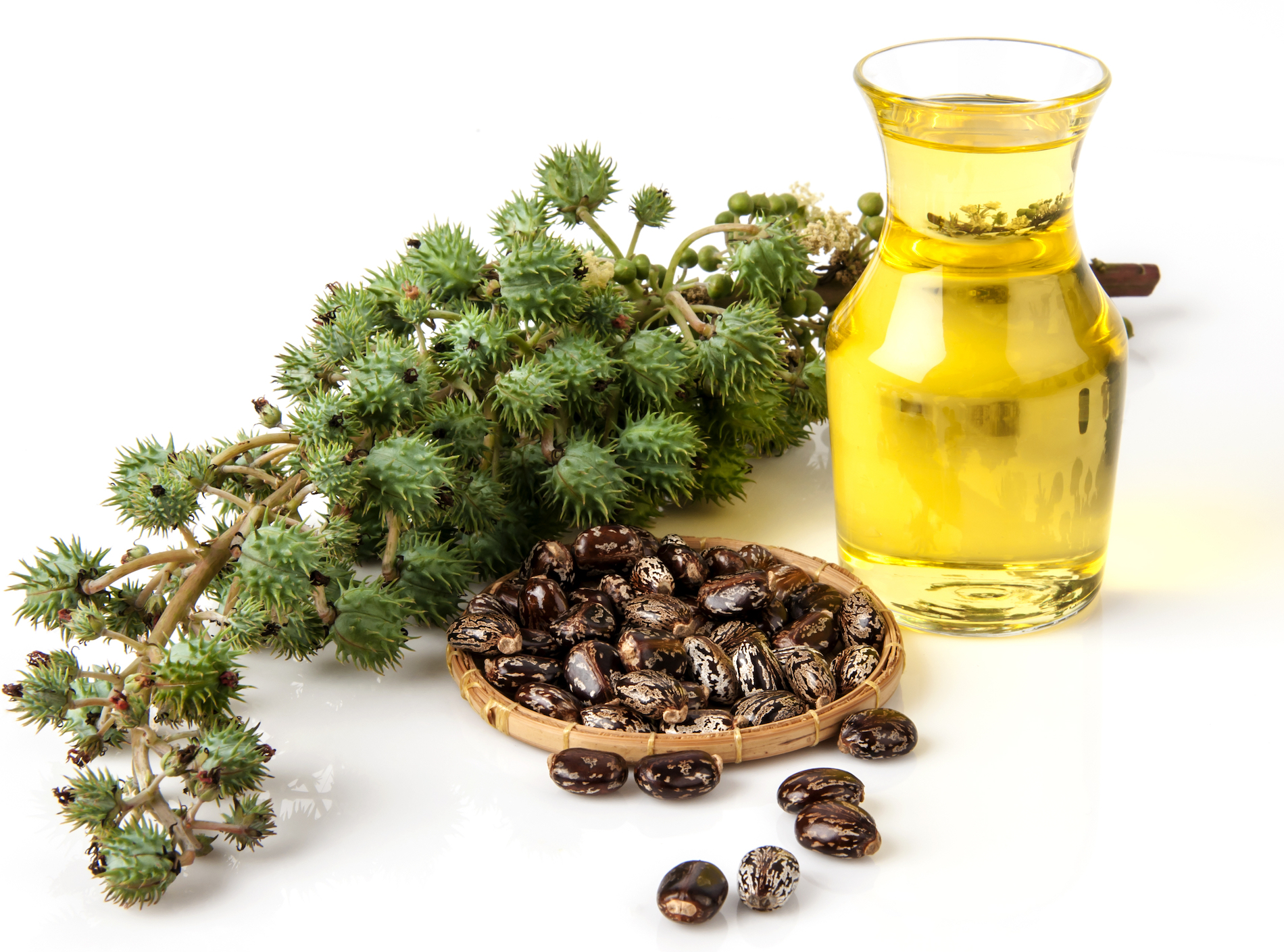 Rizinusöl (Castor Oil): Vorteile, Verwendung und Nebenwirkungen